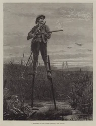 Ein Sportsmann der Landes (Frankreich)